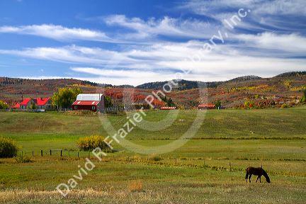 Small Haven farm near Weston, Idaho, USA.