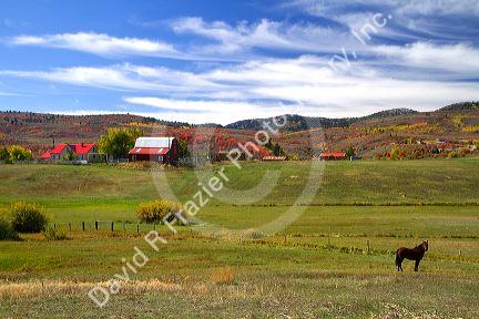 Small Haven farm near Weston, Idaho, USA.