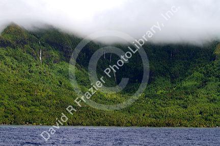 Lush vegetation on the island of Moorea, French Polynesia.
