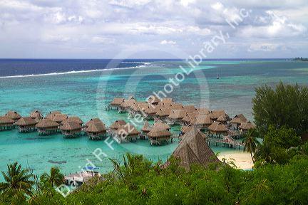 Thatched roof lagoon bungalows at Sofitel Moorea Ia Ora Beach Resort, Moorea, French Polynesia.