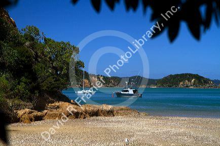 Tour boats dock on an island in the Bay of Islands, North Island, New Zealand.