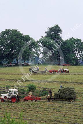 Hay harvest near Lexington, Kentucky.