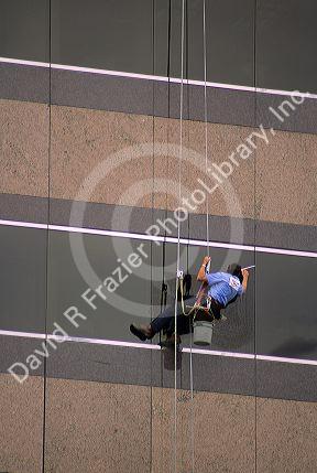 A man washing the windows of a highrise building.