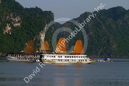Tour boats in Ha Long Bay, Vietnam.