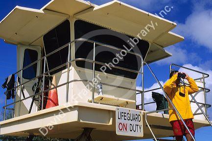 A lifeguard looking through binoculars in Kauai, Hawaii.  MR