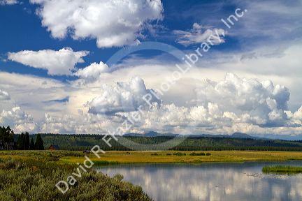 Harriman State Park located in the Greater Yellowstone Ecosystem in Eastern Idaho, USA.