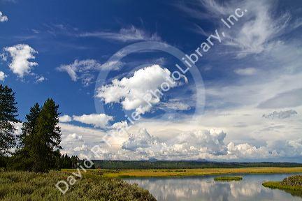 Harriman State Park located in the Greater Yellowstone Ecosystem in Eastern Idaho, USA.