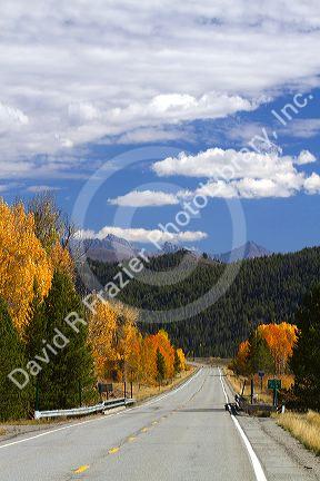 Trees in autumn color along Highway 75 near Ketchum, Idaho, USA.