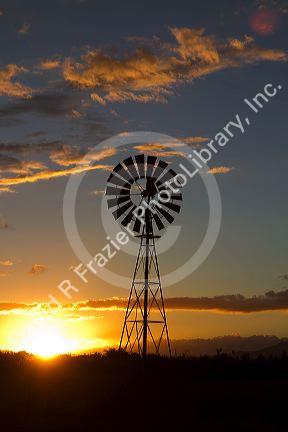 Windmill at sunset near Wilcox, Arizona, USA.