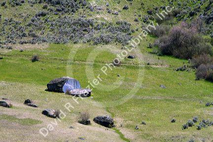Breadloaf rock near Horseshoe Bend, Idaho, USA.