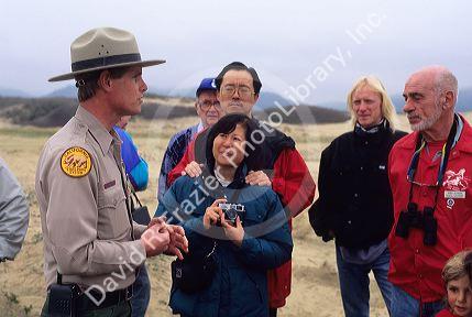 A California interpretive park ranger at Ano Nuevo State Park.