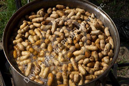 Peanuts boiling in a pot at a produce stand in rural Georgia, USA.