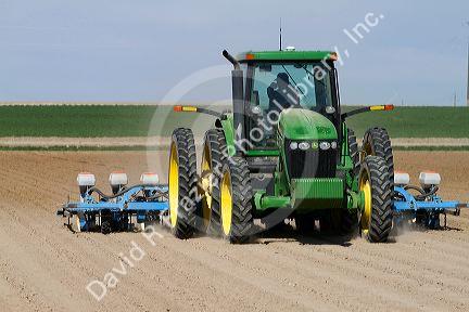 Spring planting of corn in Canyon County, Idaho, USA.