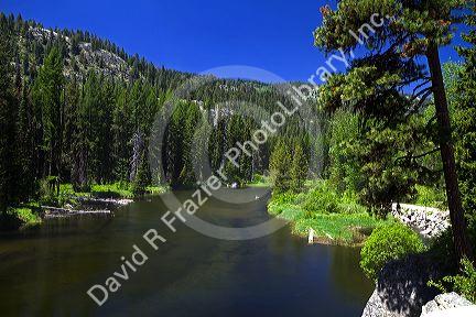 Upper Payette River inlet flowing into Payette Lake, McCall, Idaho, USA.