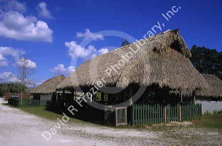 A seminole Miccosukee Indian village with chopekcheke traditional thatched roof dwellings in Florida.