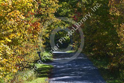 Fall foliage on a rural backroad near Lake Elmore in Lamoille County, Vermont, USA.