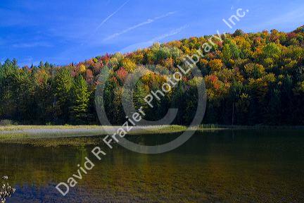 Fall foliage at Lake Elligo in Orleans County, Vermont, USA.