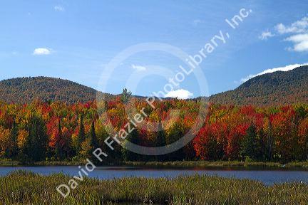 Fall foliage at McAllister Pond in Orleans County, Vermont, USA.