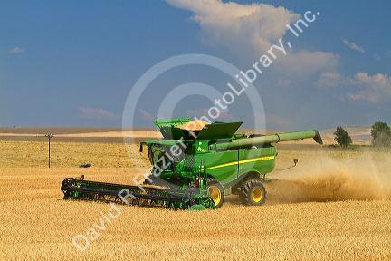 Wheat harvest near Pendleton, Oregon, USA.