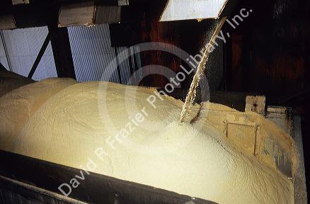 Raw sugar being loaded into truck at cane mill at Belle Glade, Florida.