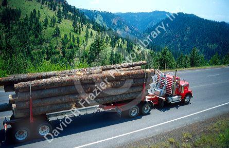 Truck hauling logs in Northern Idaho mountains.