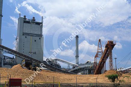 A papermill at Stone Container in Port Wentworth, Georgia.  Wood chips being piled as  a step in manufacturing of paper.