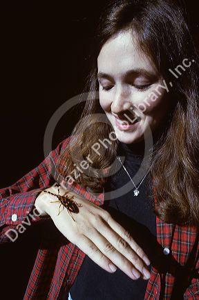 Insect Zoo at the National Museum of Natural History in Washington D.C.