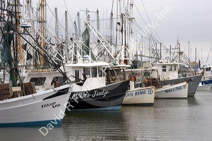 Marina with shrimp boats at Pass Christian, Mississippi.