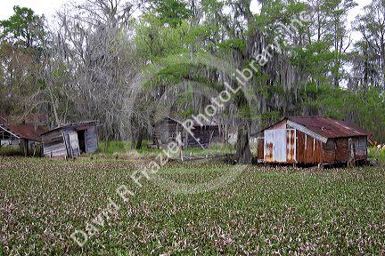 Swamp shacks in a bayou outside new Orleans, Louisiana.