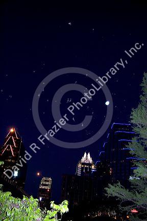 Bats swarm into the night sky over Austin, Texas.