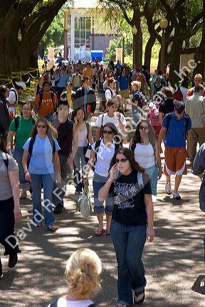 Students walking and using cell phones on the campus of University of Texas in Austin.