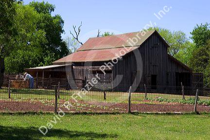 The Sauer-Beckman farm at the LBJ Park near Johnson City, Texas.