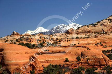 A view of snowy La Sal mountains and sandstone along US highway 191 south of Moab, Utah.