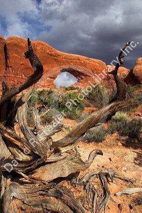 Rock formations at Arches National Park near Moab, Utah.