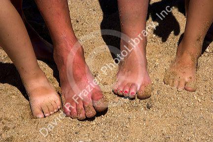 Adult and childrens feet in the sand.