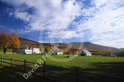 Horse farm near Roxbury, Vermont.