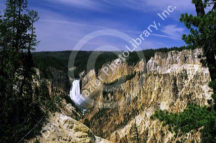 Yellowstone Falls in Yellowstone National Park, Wyoming.