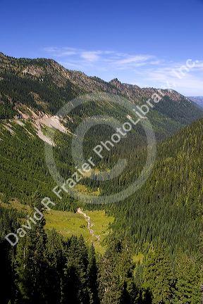 A view of the American River from Chinook Pass along highway 410 in Washington State.