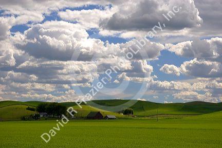 Eastern washington wheat farm with rolling hills and clouds.