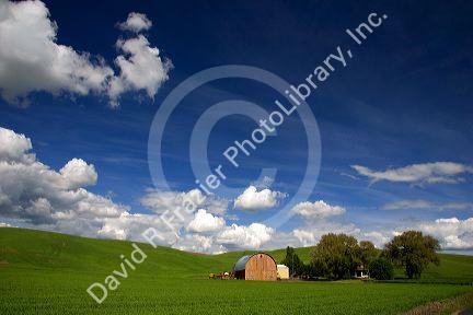 Eastern washington wheat farm with rolling hills and clouds.