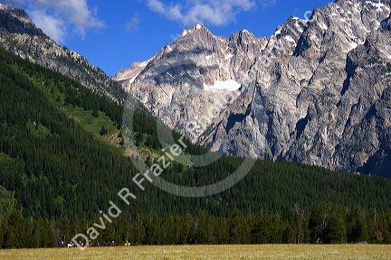 Horseback riding in Grand Teton National Park, Wyoming beneath Mt. Moran.