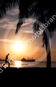 Ships at anchor in Manila Bay at sunset.  Palm trees and a pedestrian are silhouetted on the Philippines harbor.