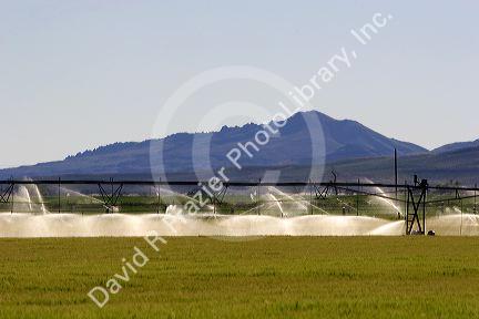 Sprinkler pivot irrigation near Bellevue, Idaho.