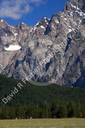 Horseback riding in Grand Teton National Park, Wyoming beneath Mt. Moran.