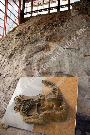 Fossil bone quarry at the Dinosaur National Monument at Vernal, Utah.