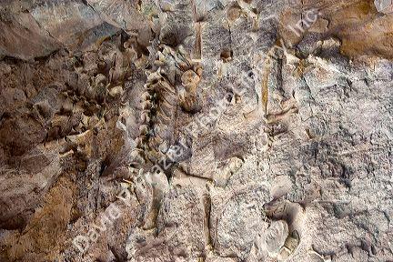 Fossil bone quarry at the Dinosaur National Monument at Vernal, Utah.