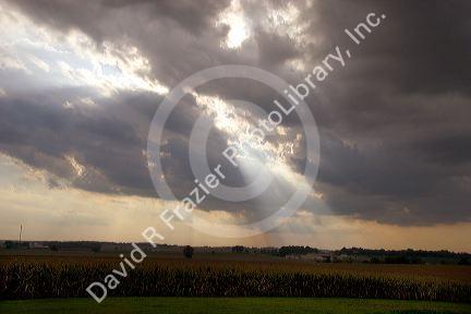 Sun shines through the clouds onto a corn field in Cynthiana, Indiana.