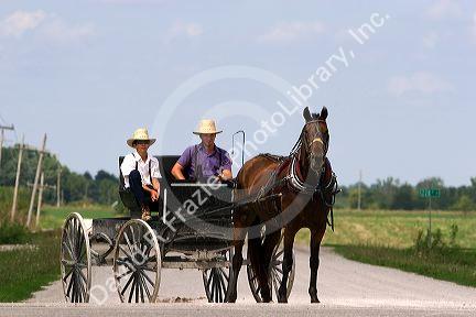 Amish boys travel by horse and carriage west of Bloomfield, Iowa.