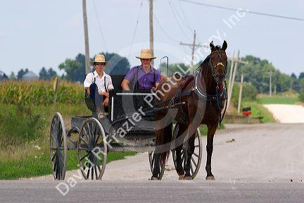 Amish boys travel by horse and carriage west of Bloomfield, Iowa.