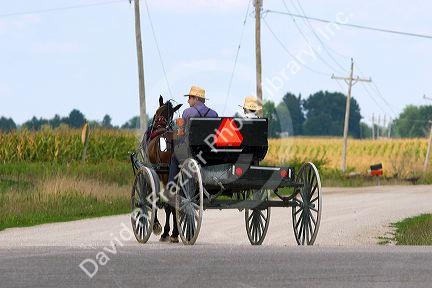 Amish boys travel by horse and carriage west of Bloomfield, Iowa.